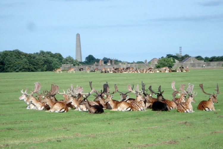 The Trinity City Hotel |  | 16