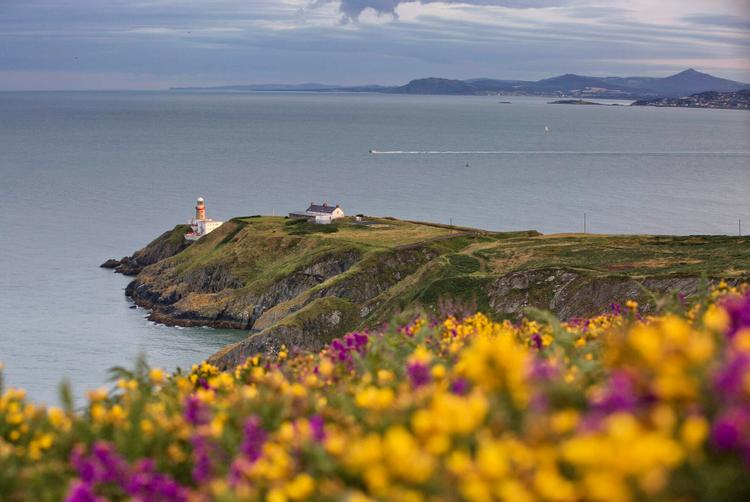 The Trinity City Hotel |  | 19