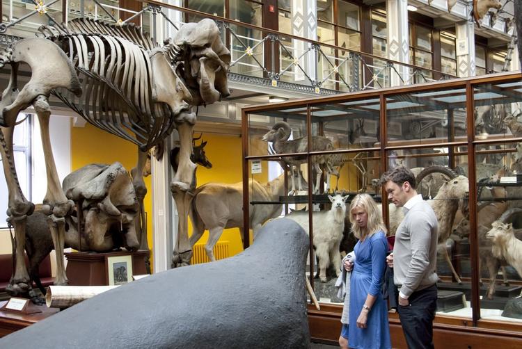 The Trinity City Hotel |  | 13