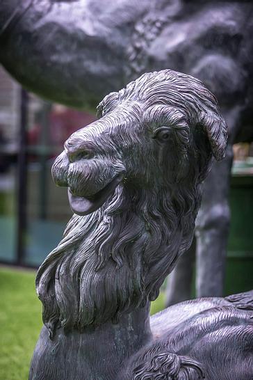 The Trinity City Hotel | Dublin | Galleria 4