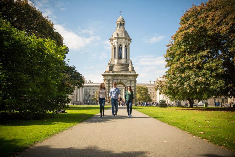 The Trinity City Hotel | | 2