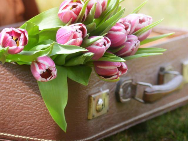 Spring Sale 20% Off